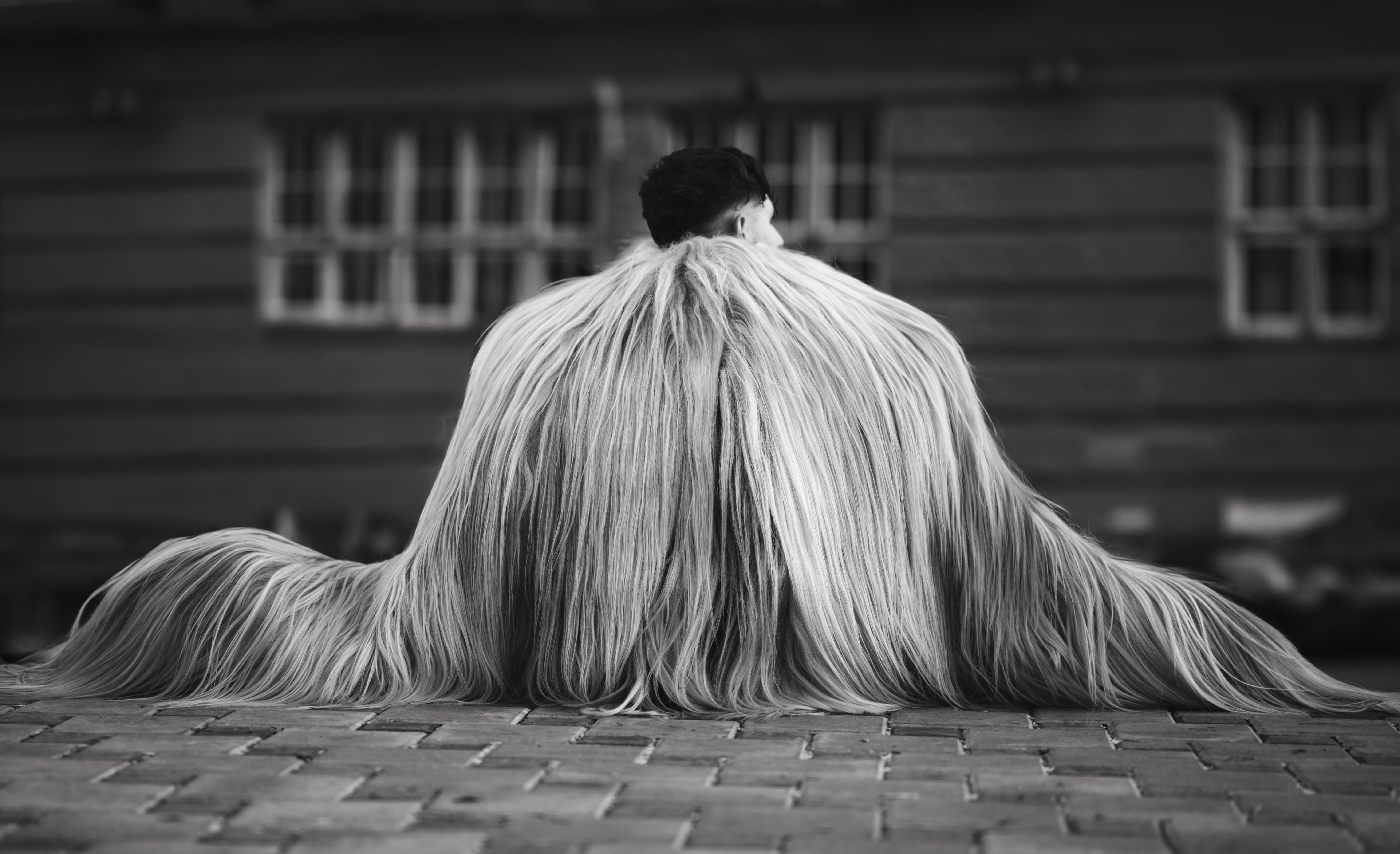 © Kristian Krumov, Bulgaria, entry, Open Competition, Lifestyle, 2026 Sony World Photography Awards